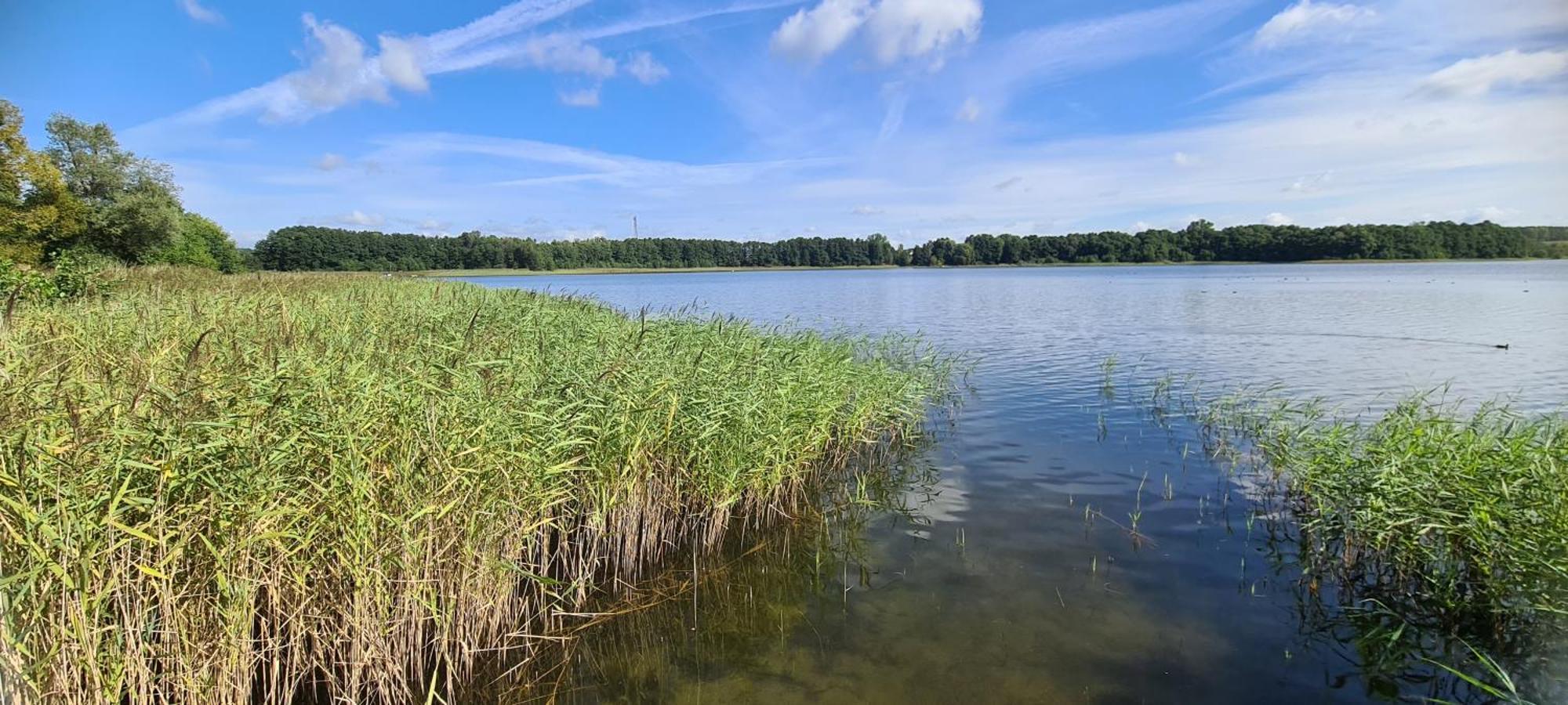 Ferienhof Am Kaebelicksee Kratzeburg Kültér fotó